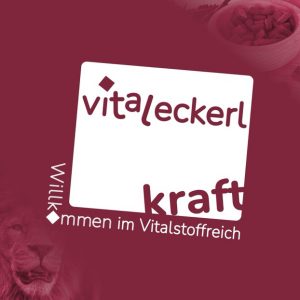 Vitaleckerl KRAFT für 10-20 Tage