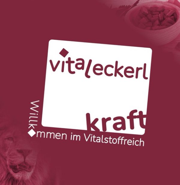 Vitaleckerl KRAFT für 30-60 Tage